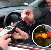La fruta «que emborracha» y que podría hacer que des positivo en un control de alcoholemia
