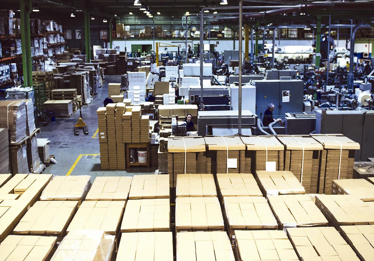 Zelatun: Más allá de trabajar papel, menos impacto y más eficiencia