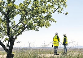 HINE: construyendo un futuro más humano y verdaderamente sostenible