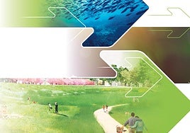 Sostenibilidad ambiental en la empresa: beneficios, evolución y compromiso real