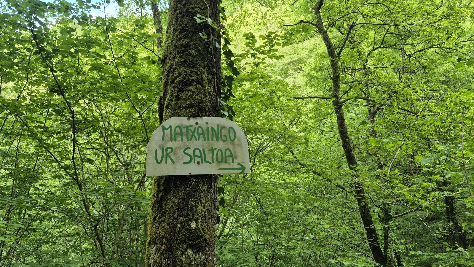 Guratz, bajo un verde manto