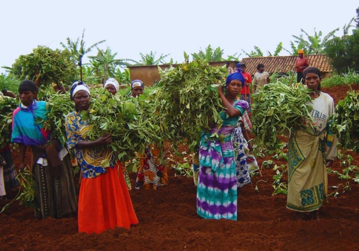 Behar Bidasoa aprovechó el Día de África para reivindicar una cooperación que «escucha, construye y transforma»