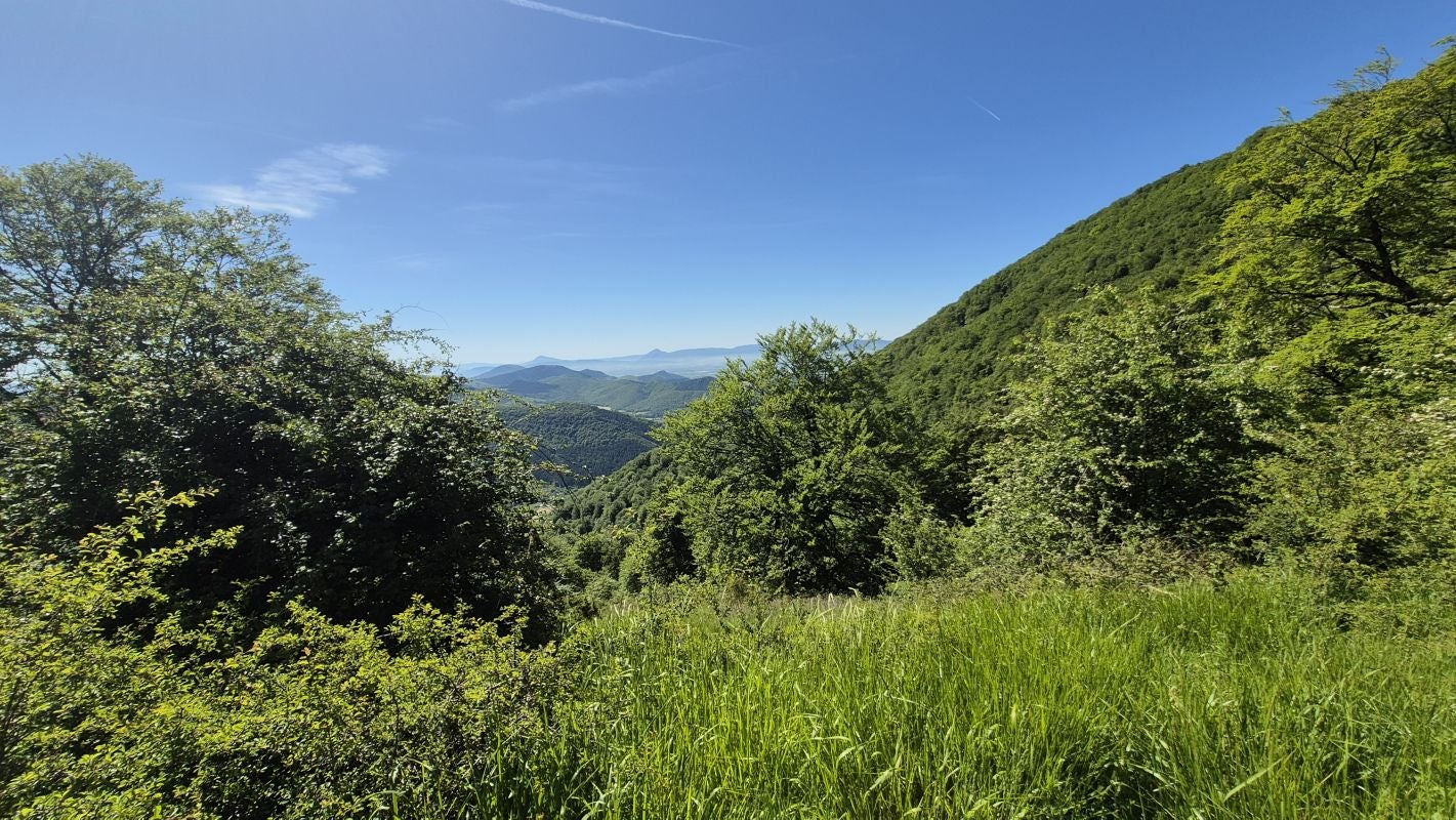Las vistas privilegiadas de Erga