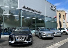 La gama e-tron en Autowag Tolosa en el Polígono Usabal.