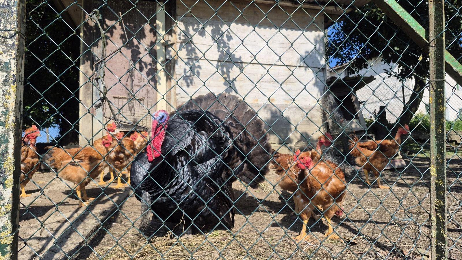 Usurbe, un balcón al Goierri