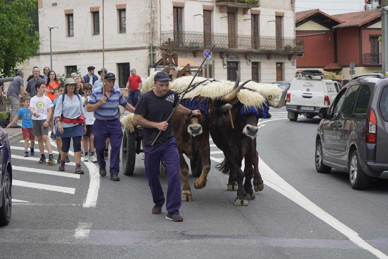 Así ha sido el cambio de bueyes entre Tolosa y Lazkao