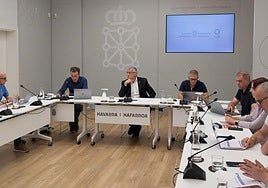 Reunión del Consejo de Administración de NASERTIC.