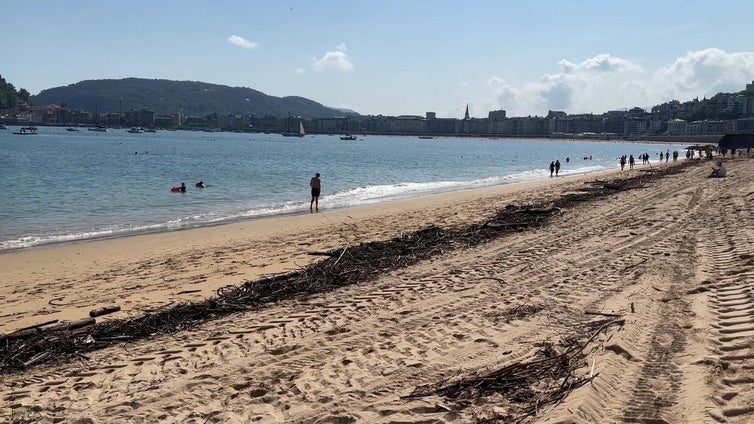 Palos, troncos y ramas, en la orilla de Ondarreta