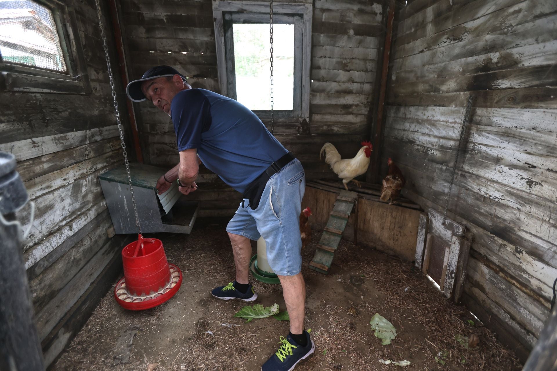 «Me avisaron de que se inundaba mi casa y vine corriendo a salvar a los perros»