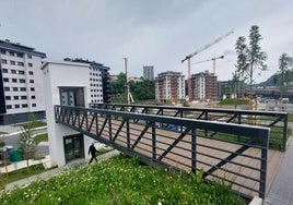 El ascensor habilitado por el Ayuntamiento de Lezo hace unos meses en el nuevo barrio de Altzate.