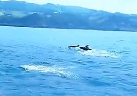 Imagen extraída del vídeo publicado por la Guardia Civil guipuzcoana