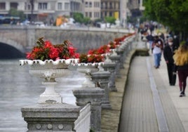 Vista de las macetas del paseo de Francia, junto al río Urumea.