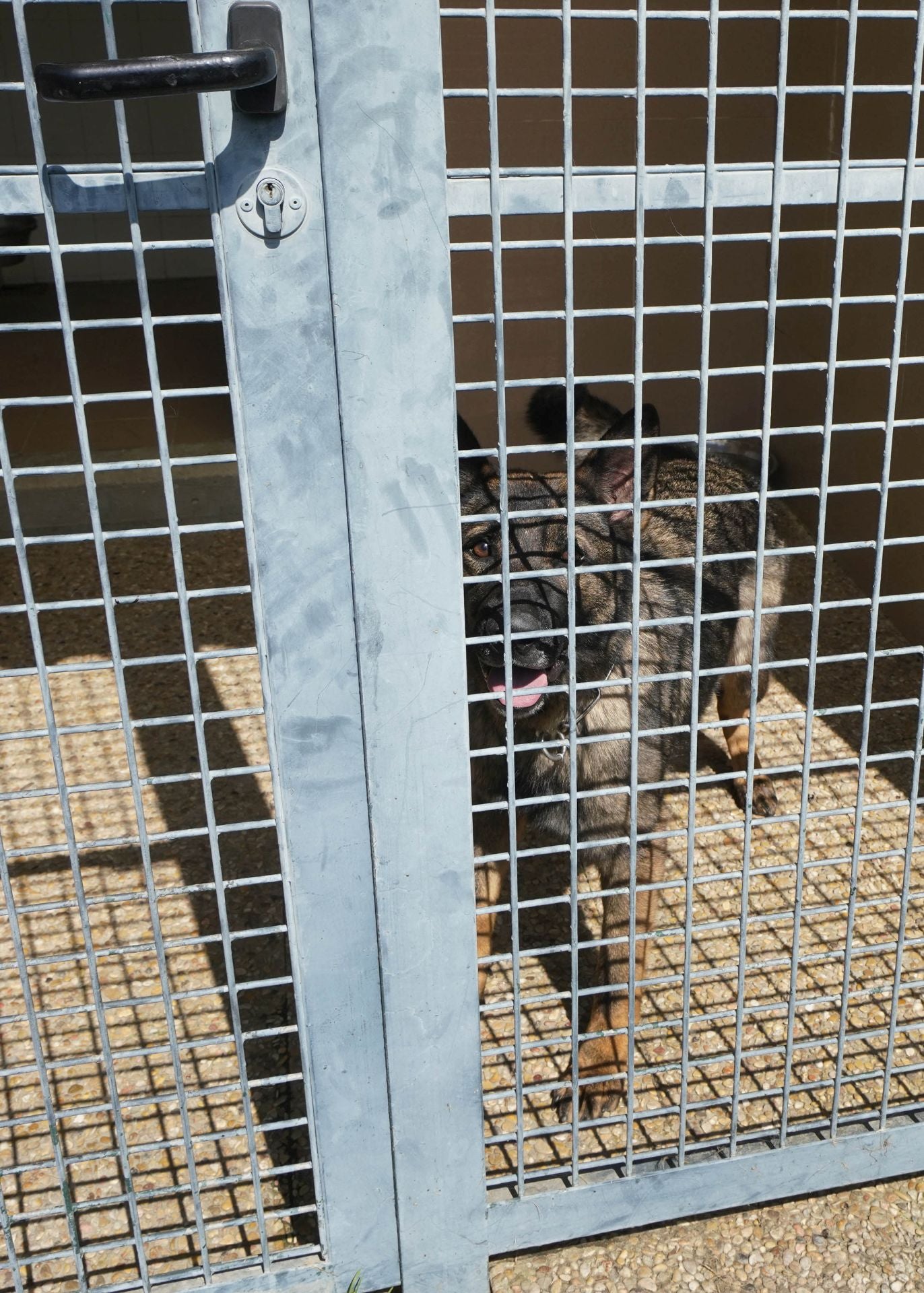 Visita a la unidad canina de la Ertzaintza