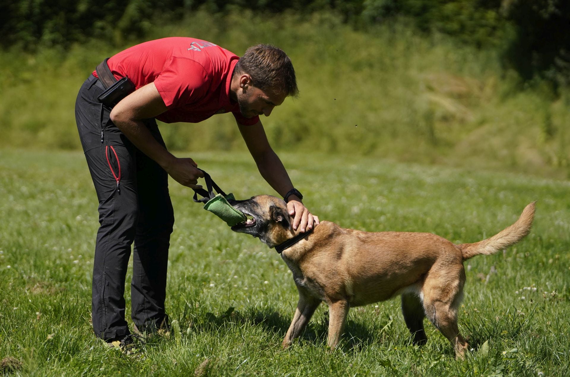 Visita a la unidad canina de la Ertzaintza