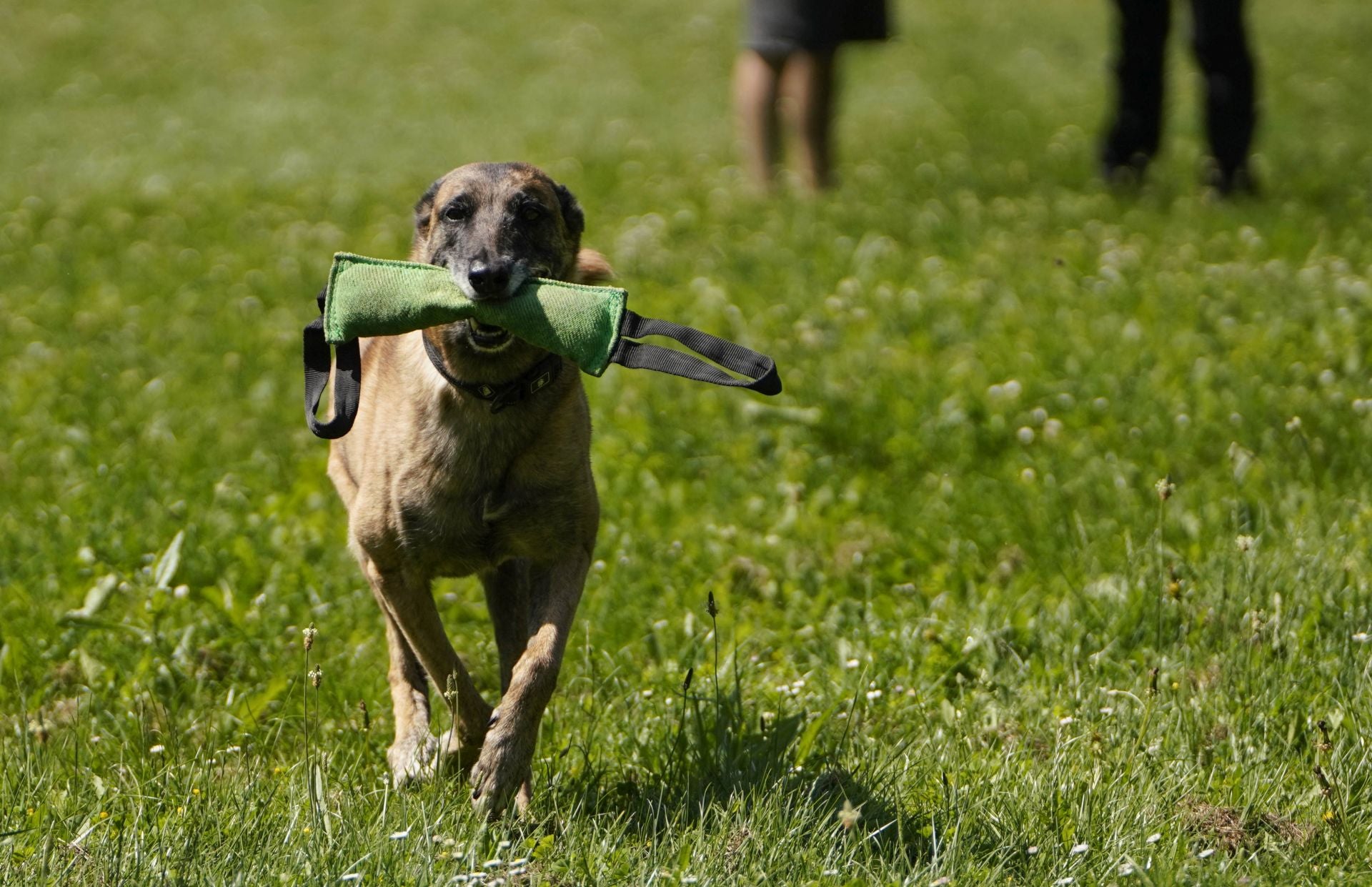 Visita a la unidad canina de la Ertzaintza