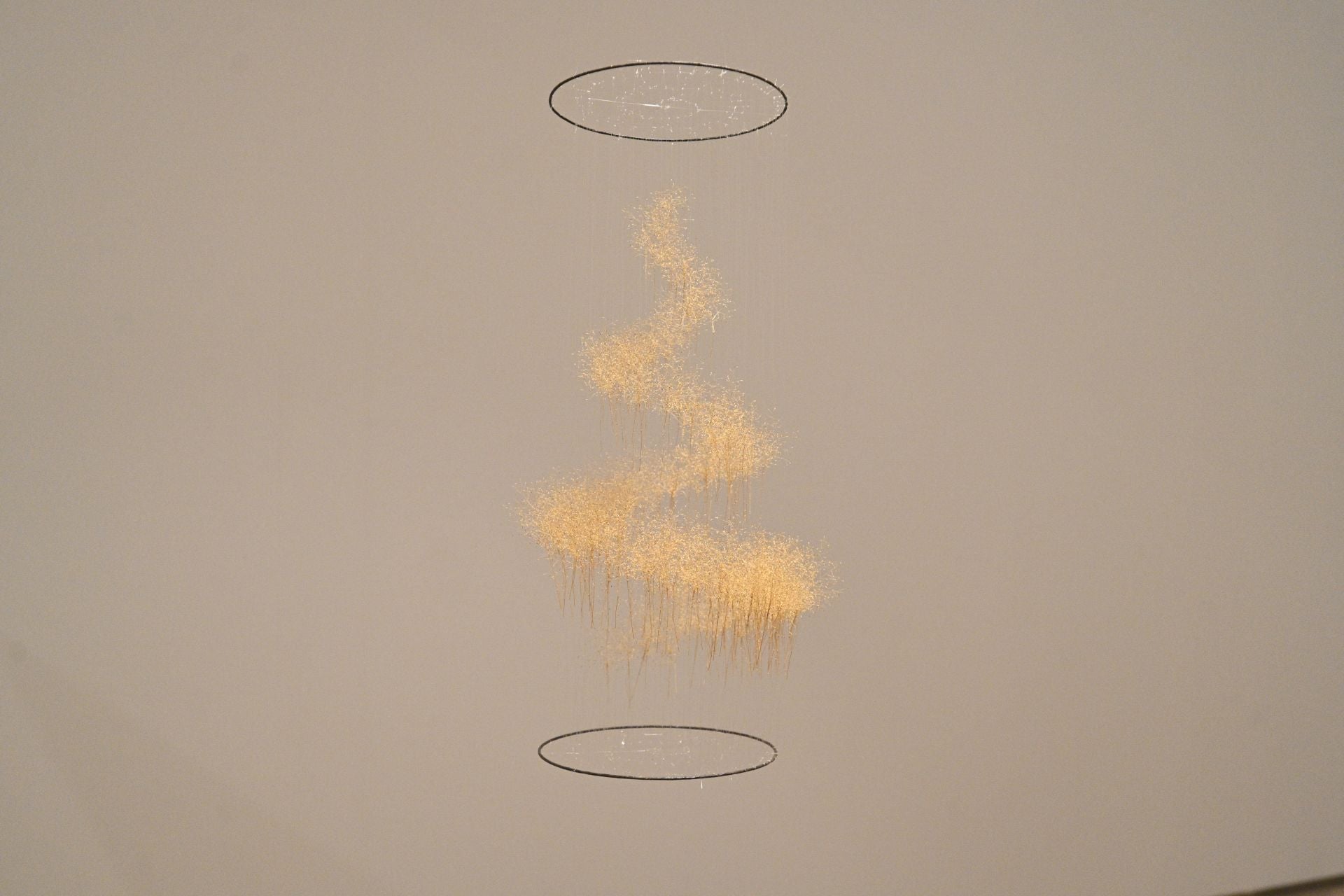 María Cueto presenta la nueva exposición sobre sus etapas como artista