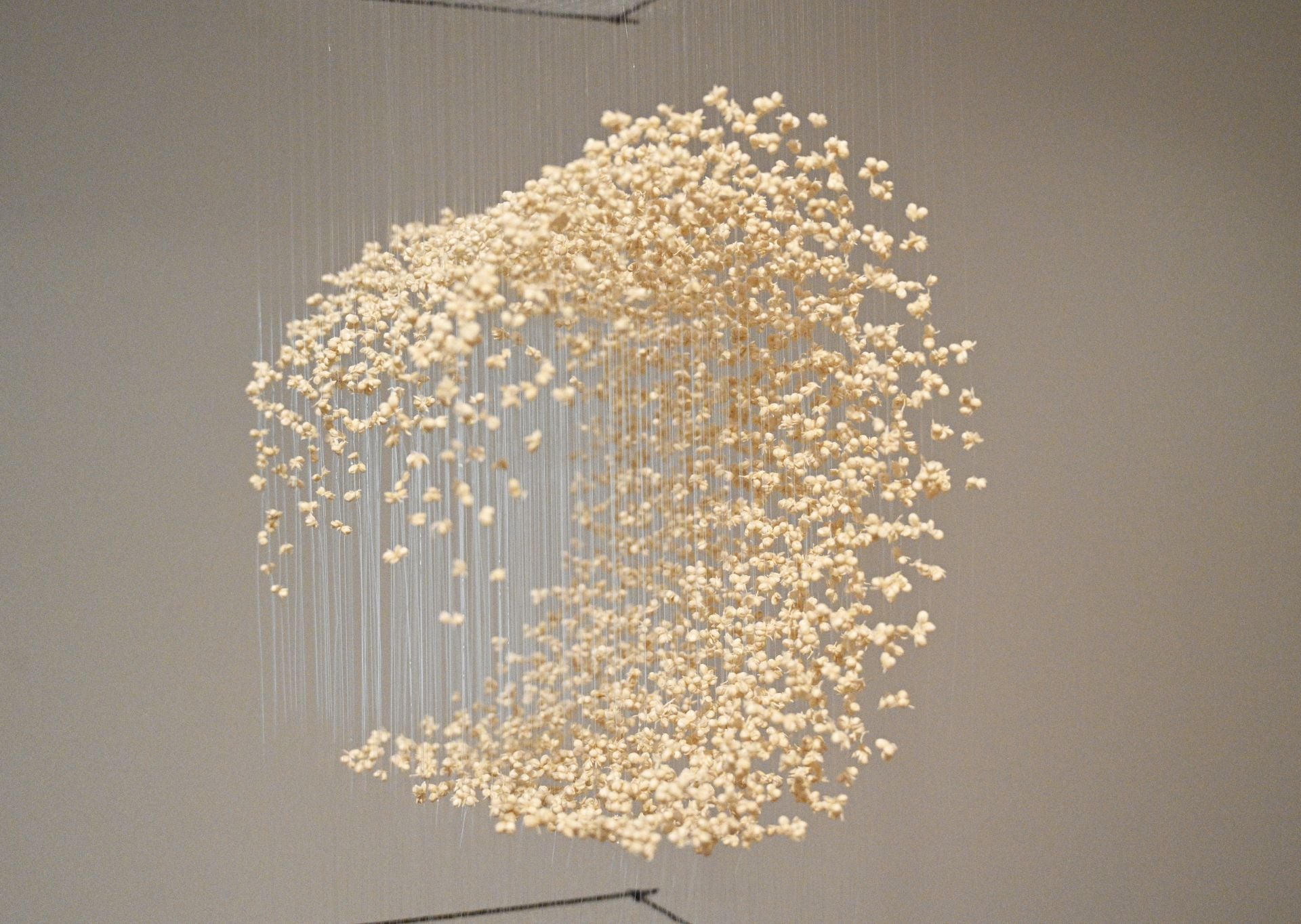 María Cueto presenta la nueva exposición sobre sus etapas como artista