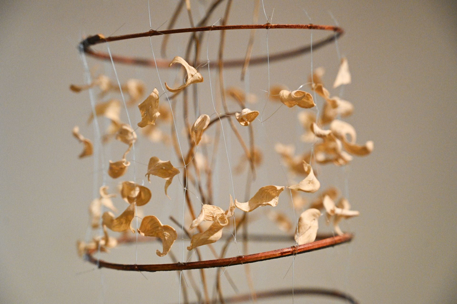 María Cueto presenta la nueva exposición sobre sus etapas como artista