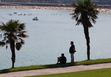 1,1 grados más, 75 días cálidos al año... Los efectos de cambio climático en Euskadi