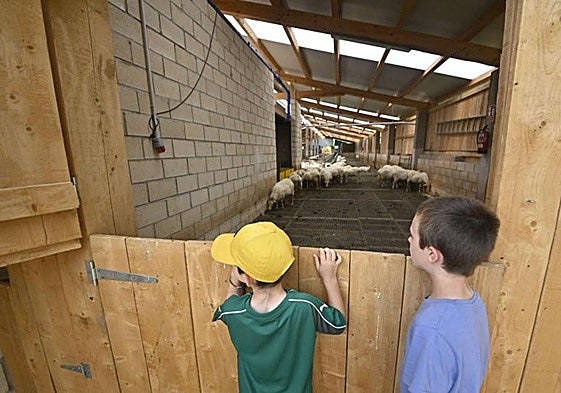 Niños visitando El caserio Primo Etxeberri de Azpeitia.