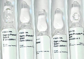 Los cebos sintéticos que replican el olor de un cadáver hasta en seis fases distintas de descomposición.