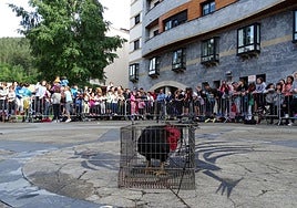 Legazpi es una de las pocas plazas donde se continúa celebrando el antiquísimo juego del gallo.