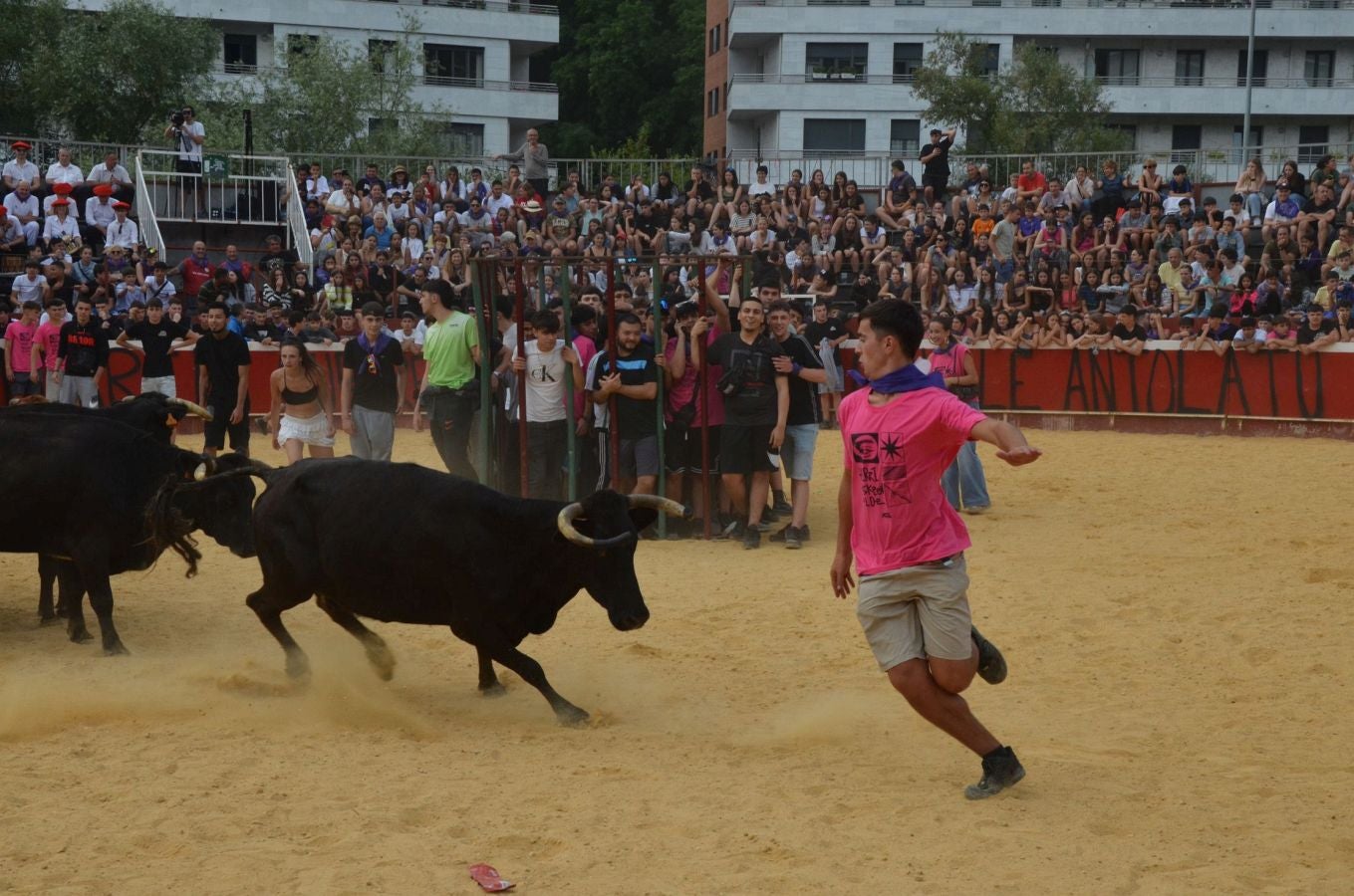 Primer encierro de las fiestas de Arrasate