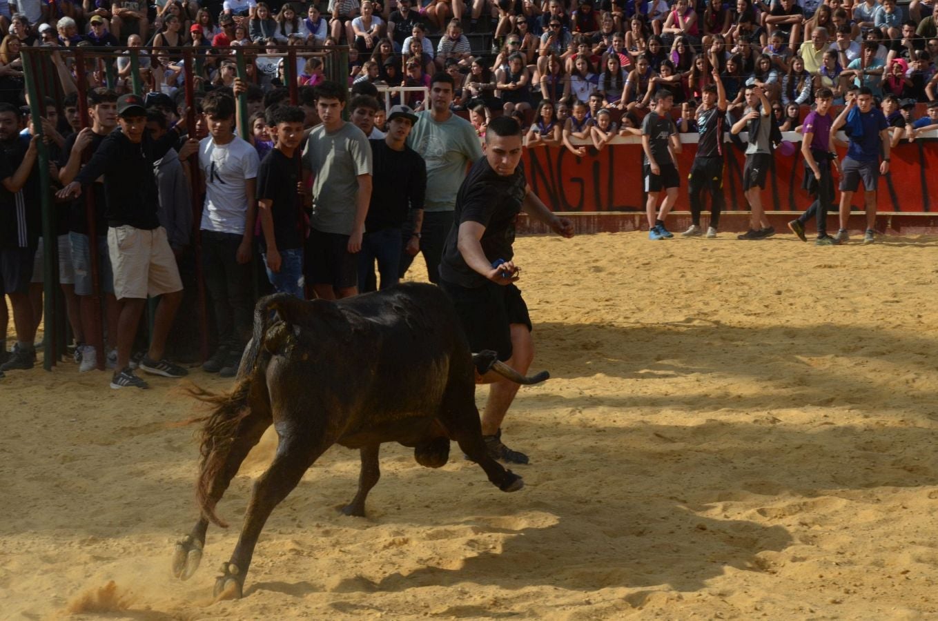 Primer encierro de las fiestas de Arrasate
