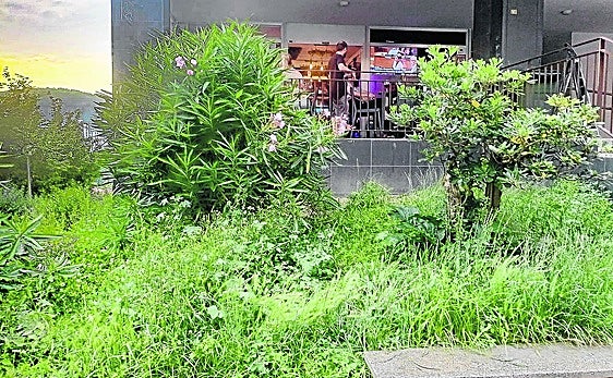 José Manuel nos envía esta fotografía sobre una zona verde de Altza: «Hay un problema que es municipal y no hacen nada para solucionarlo. En esta zona verde de Bertsolari Txirrita 62 suele haber ratas y justo hay una terraza de bar en los soportales y debido al abandono es complicado consumir porque hay muchos mosquitos que te pican y se meten dentro del vaso».