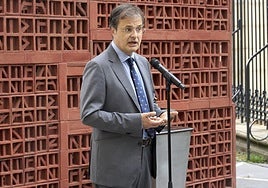 El consejero de Salud, Alberto Martínez, en el Parlamento Vasco.