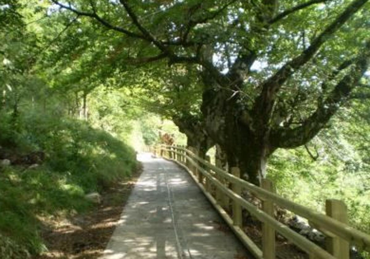 Famili giroan naturaz gozatzeko planak Arantzazun eta Iztueta baserrrian