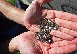 Un cicloturista muestra un puñado de chinchetas recogidas este viernes en la carretera entre Hernani y Goizueta.