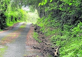 Denuncia M. Oviedo: «Los vecinos del camino de Buztinzuri de Igeldo estamos totalmente abandonados. No se limpian las aceras ni se podan los arbustos que crecen a ambos lados del camino, con lo cual en verano esta zona es peligrosa por el riesgo de incendios. Sólo hay jardineros para el centro de Donostia. Es lamentable».