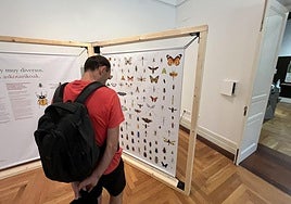 La muestra sobre los insectos hace un guiño al exoesqueleto robótico del traje de Iron Man.