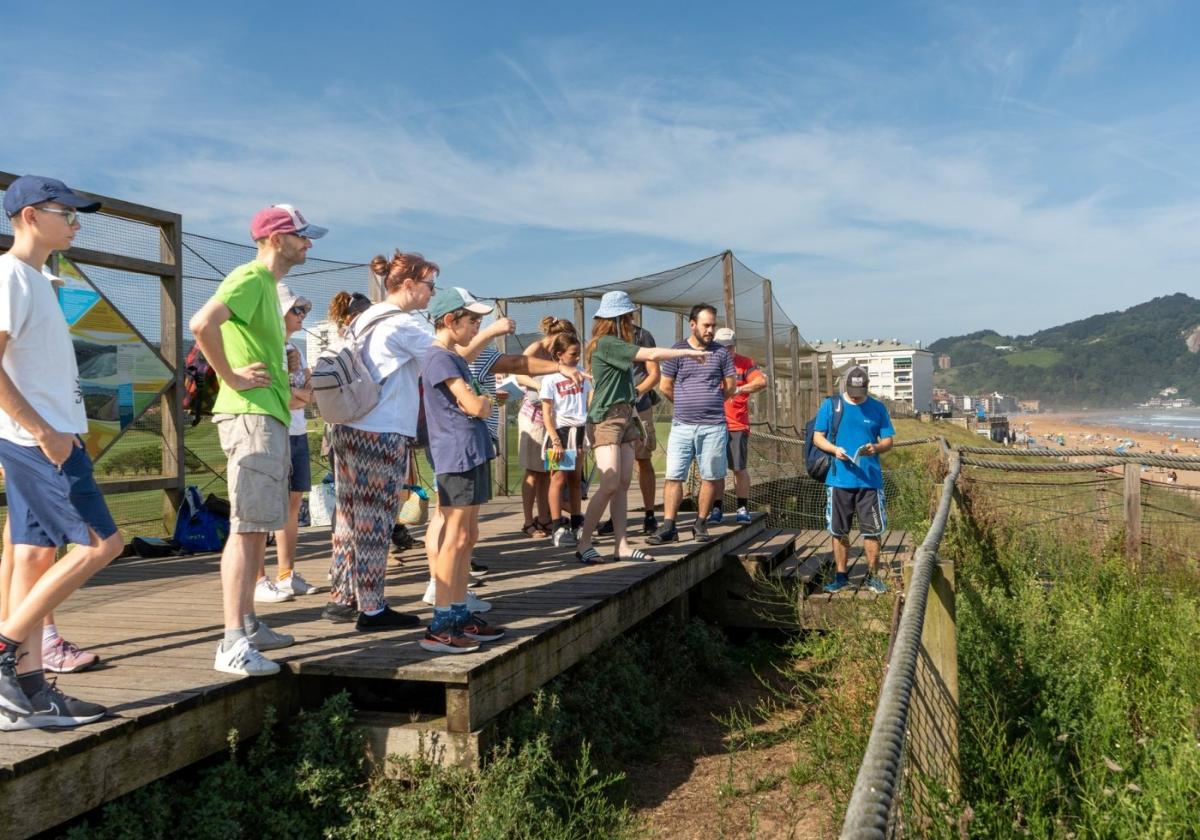 En las visitas guiadas se mostrarán las característias de estos espacios naturales de Zarautz.