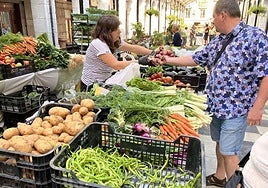 Las primeras guindillas de Ibarra en el puesto de Montes.
