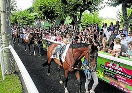 La temporada estival del hipódromo abre hoy sus puertas.