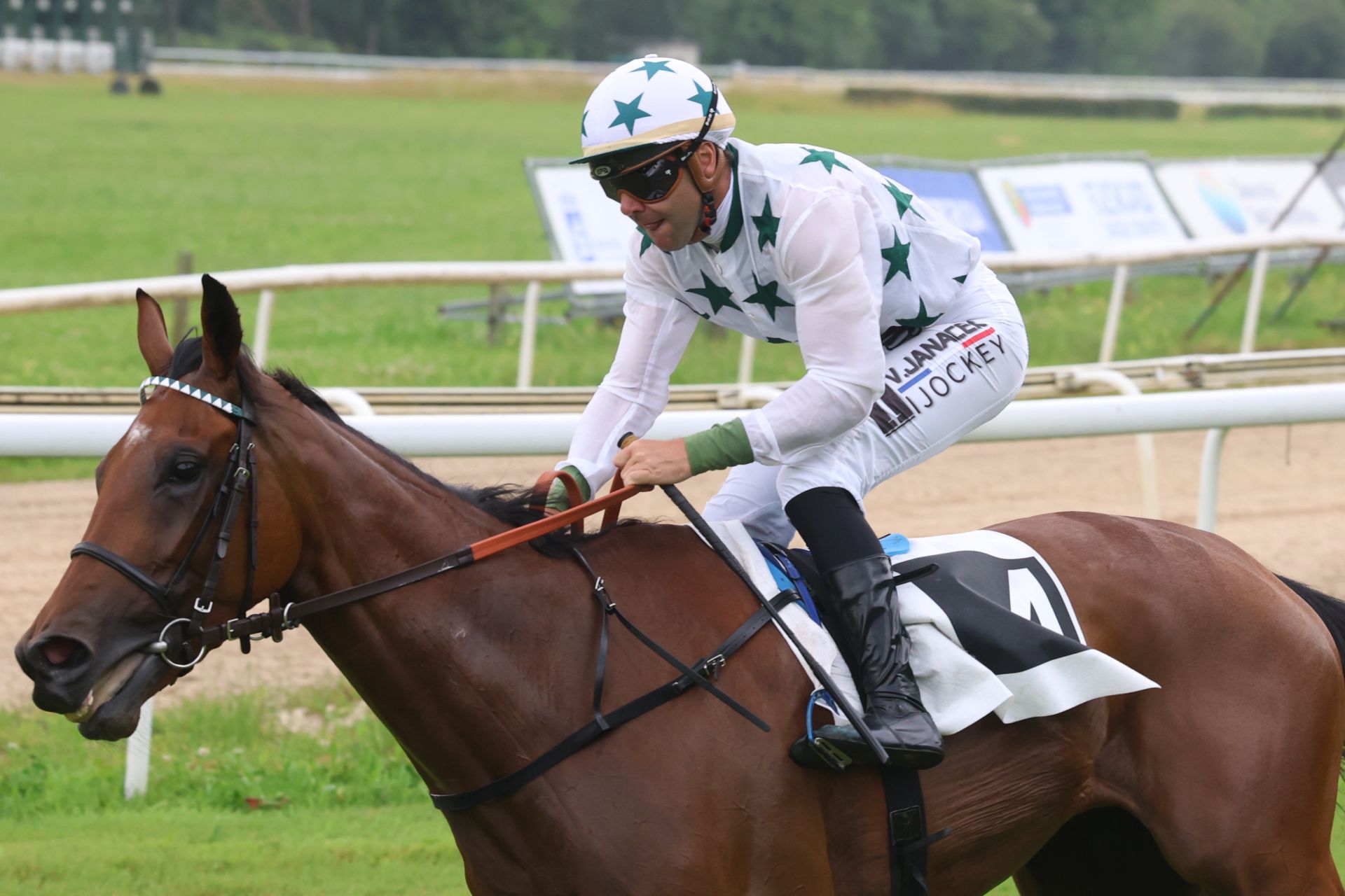 Carrera de caballos en el hipódromo de San Sebastián