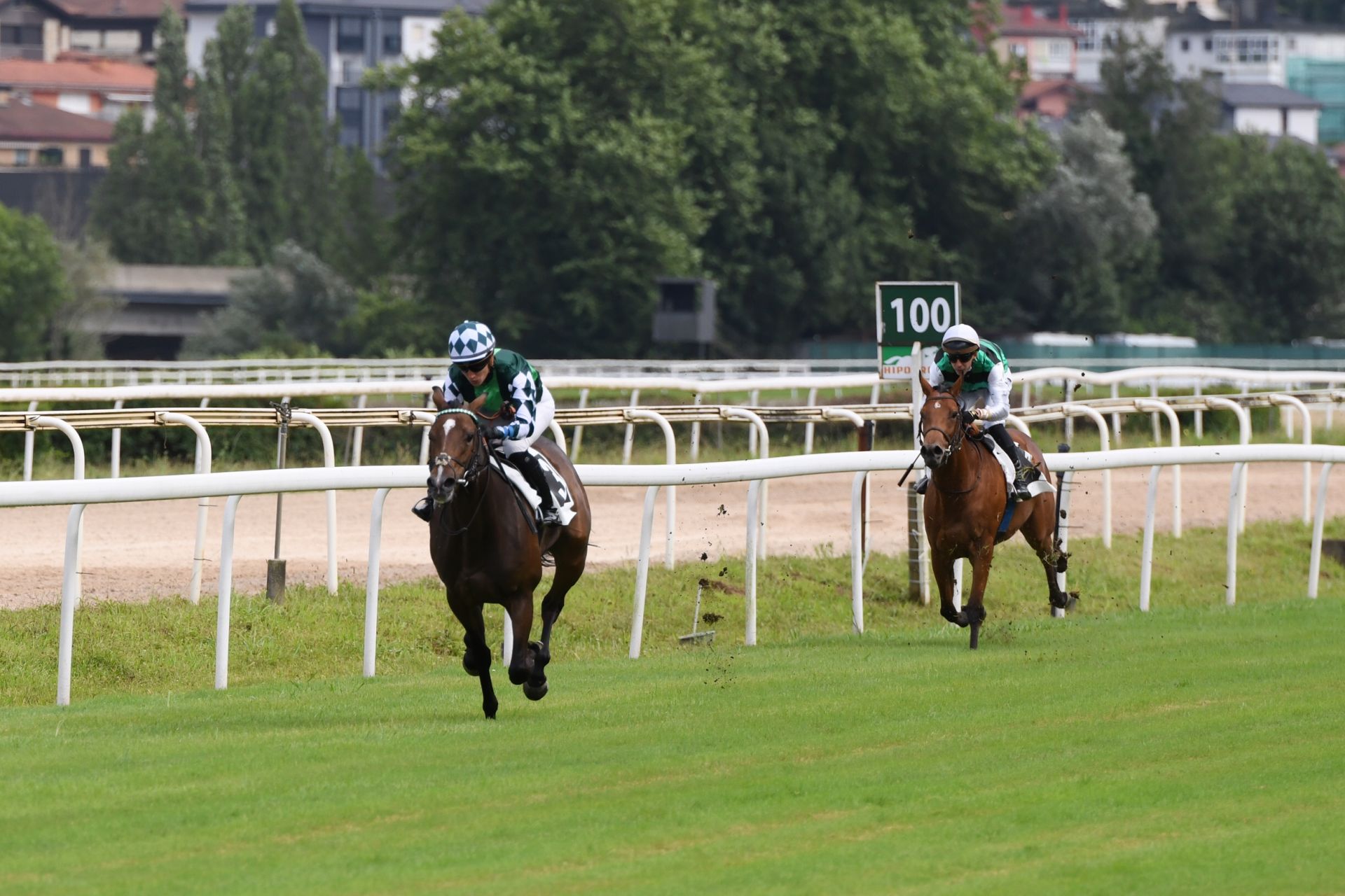 Carrera de caballos en el hipódromo de San Sebastián