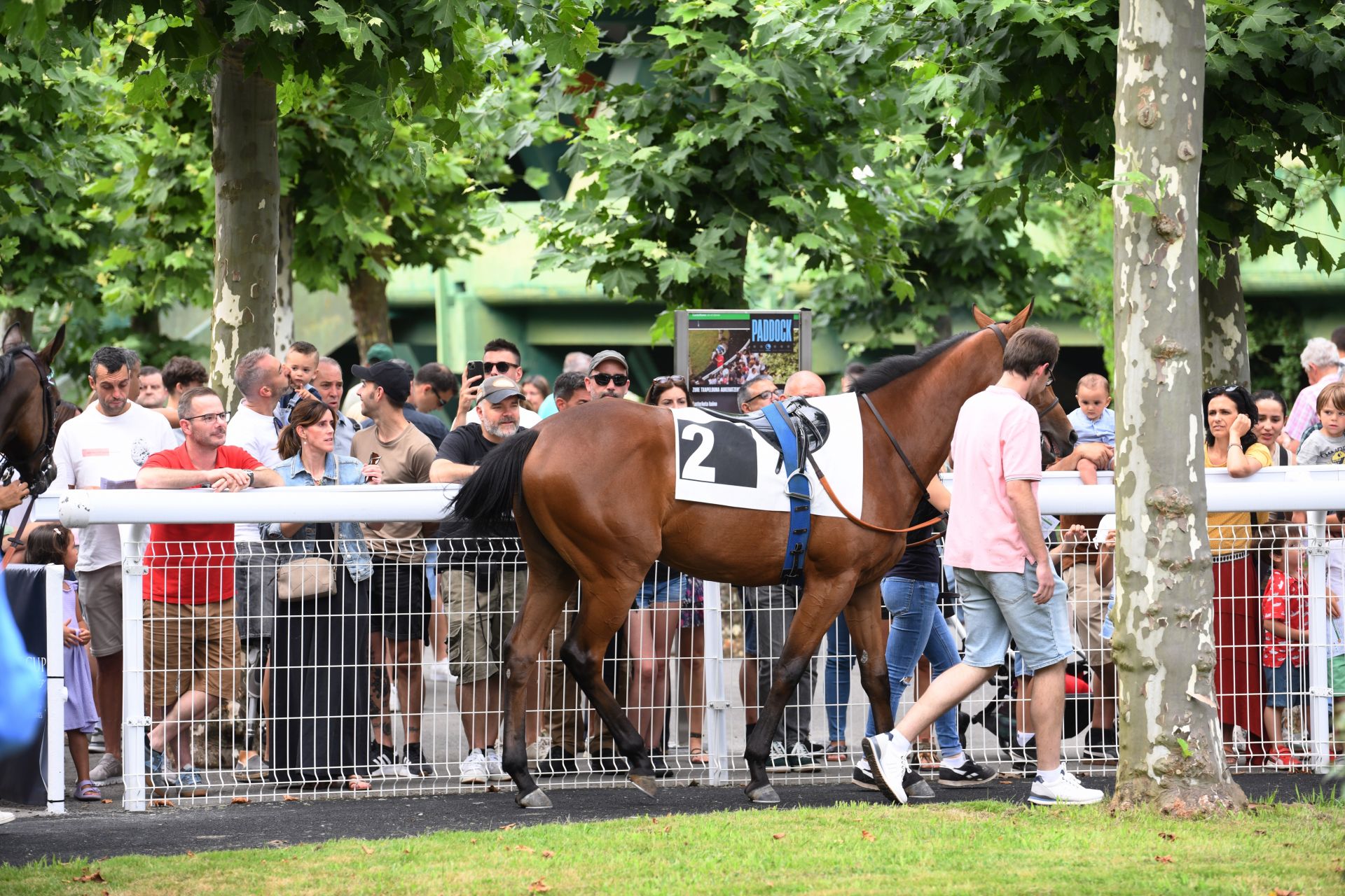 Carrera de caballos en el hipódromo de San Sebastián