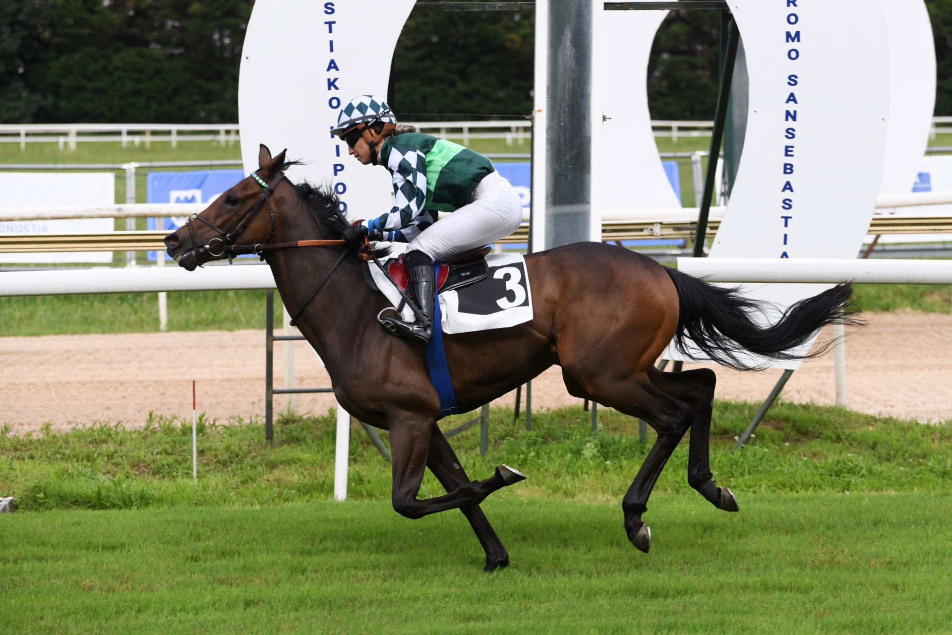 Carrera de caballos en el hipódromo de San Sebastián