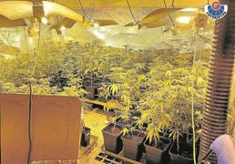 «Nunca ha habido tanta droga en Euskadi y nunca ha sido tan barata»