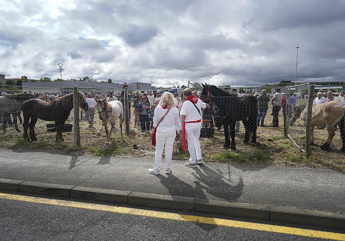 Pañuelicos, nubes y caballos.