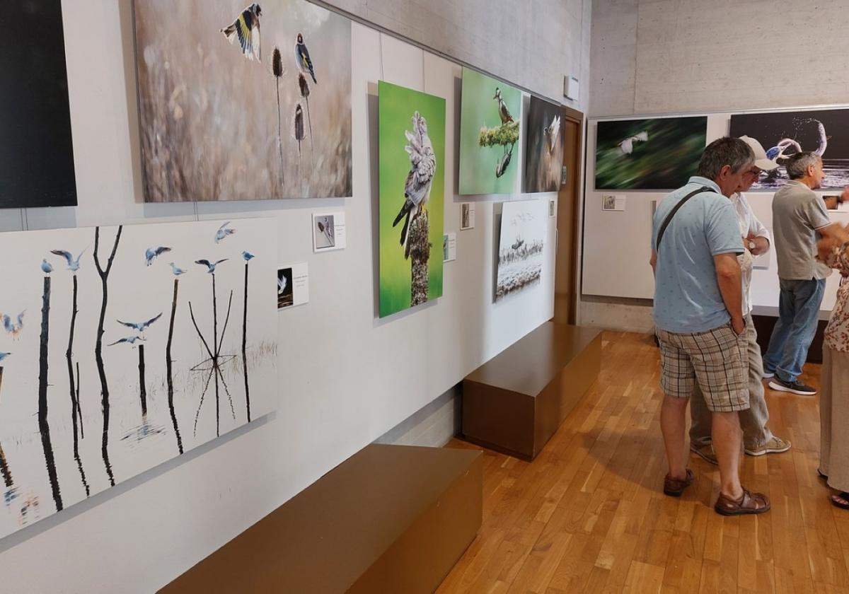 Exposición fotográfica de Félix Calvo en Arma Plaza.
