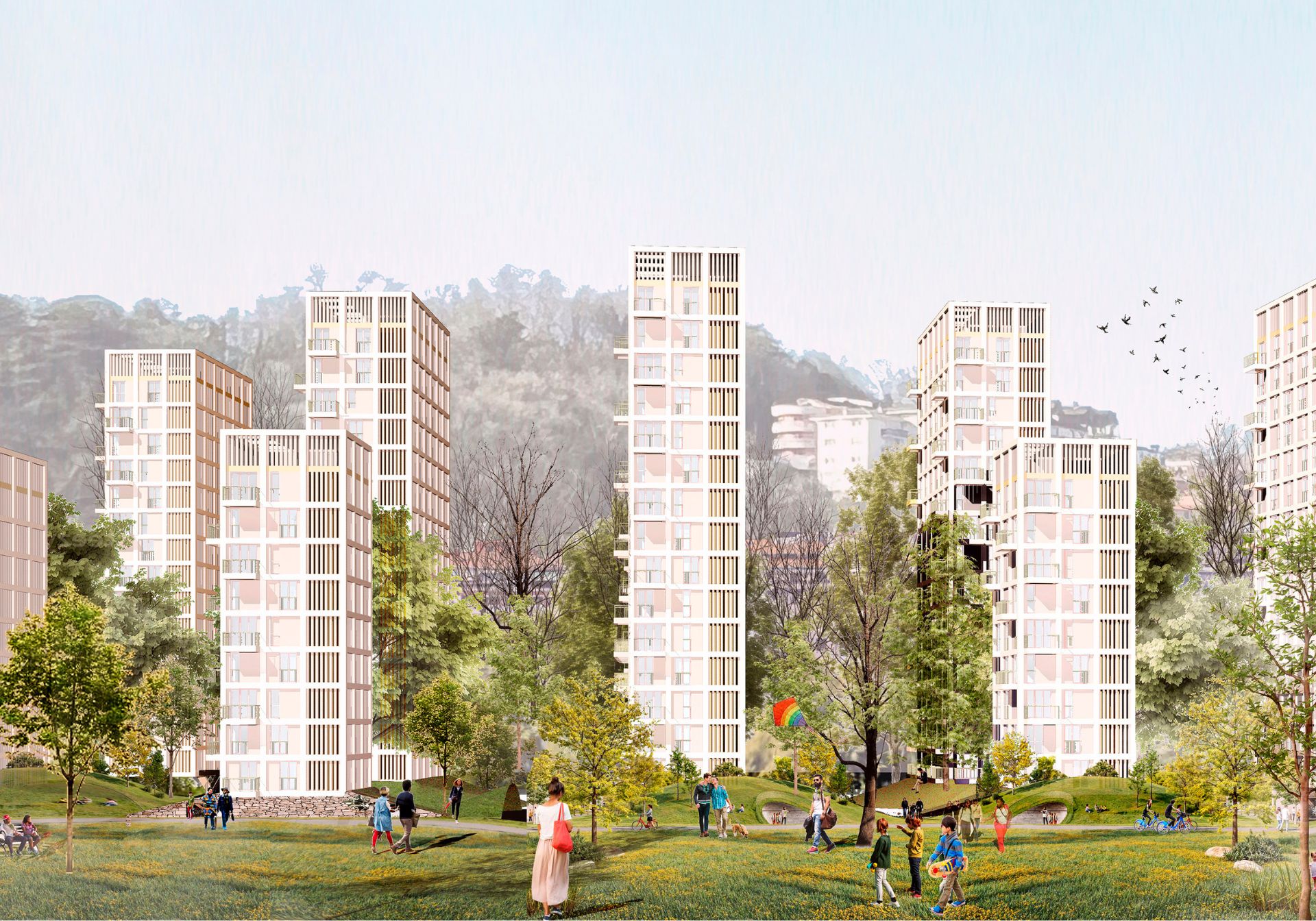 Imagen del proyecto 'Que los árboles nos dejen ver el bosque'.