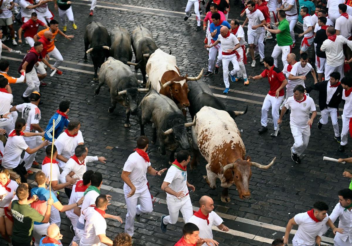 Los cárdenos de José Escolar, a su paso por el Ayuntamiento en el recorrido de este sábado.