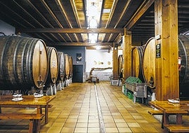 Bodega Aburuza