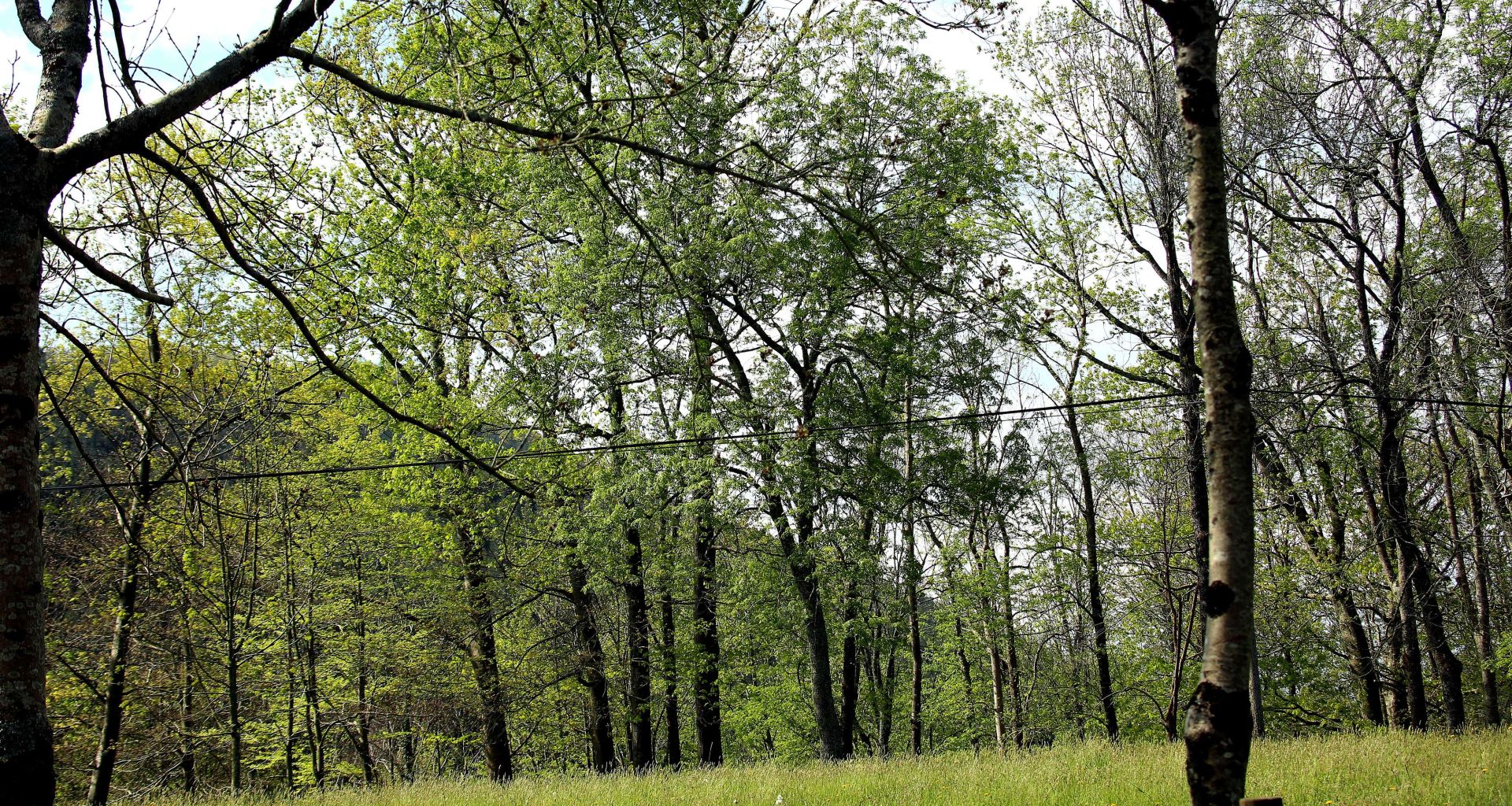 Aiako Harria natura-parkean kokatzen da Listorretako eremua.