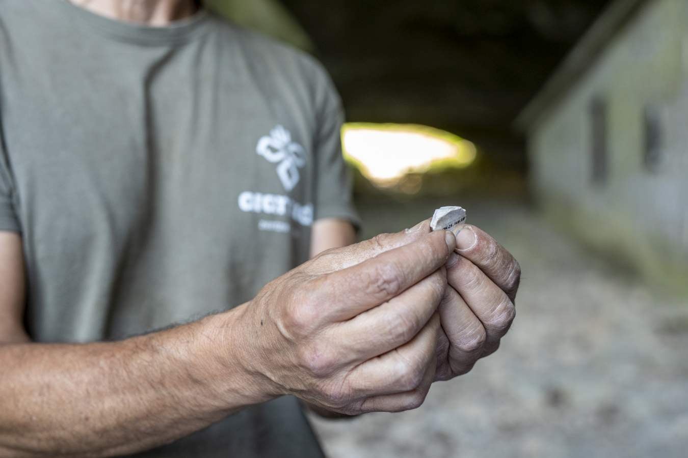 Restos de los neandertales en Zegama