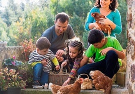 Euskaber: Baserriko zure arrautzak